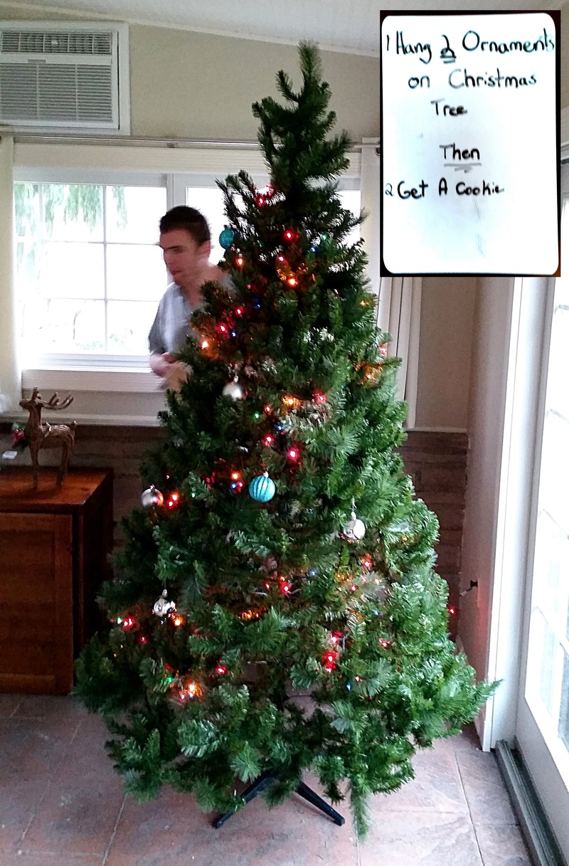 The whiteboard (inserted upper right) lays out the terms in Ben's house, at least for Ben: "1: Hang Two Ornaments on Christmas Tree, then, 2: Get a Cookie." Talk about incentive.